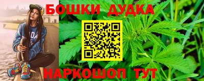 прущие грибы Пенза
