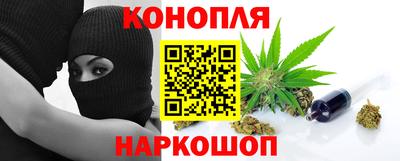 прущие грибы Пенза
