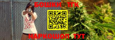 индика Партизанск