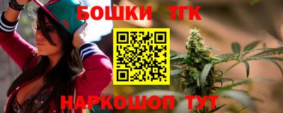 индика Партизанск