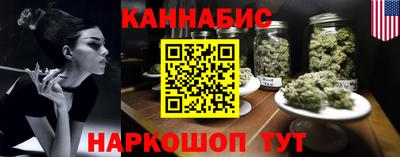 индика Партизанск